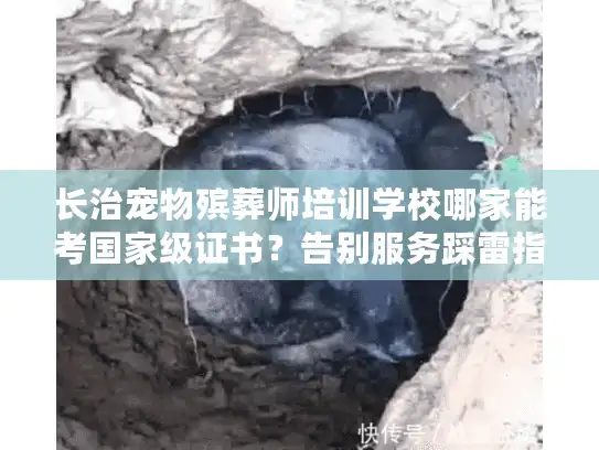 长治宠物殡葬师培训学校哪家能考国家级证书？告别服务踩雷指南