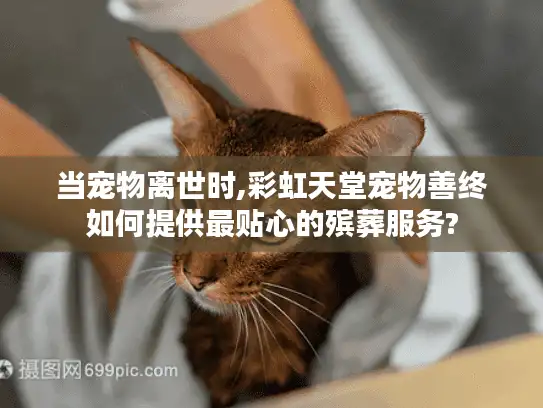 当宠物离世时,彩虹天堂宠物善终如何提供最贴心的殡葬服务?