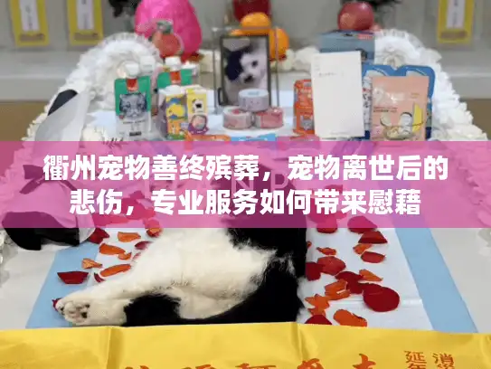 衢州宠物善终殡葬，宠物离世后的悲伤，专业服务如何带来慰藉