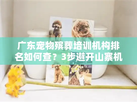 广东宠物殡葬培训机构排名如何查？3步避开山寨机构陷阱！