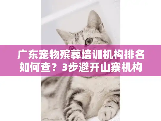 广东宠物殡葬培训机构排名如何查？3步避开山寨机构陷阱！