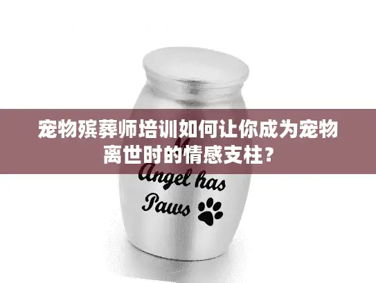 宠物殡葬师培训如何让你成为宠物离世时的情感支柱？