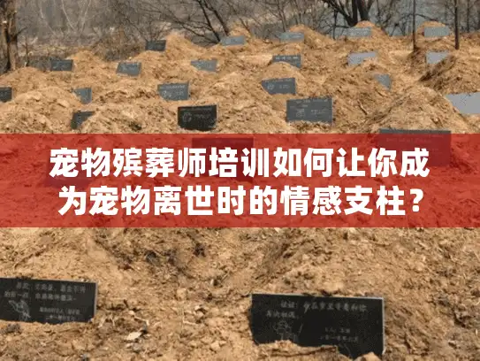 宠物殡葬师培训如何让你成为宠物离世时的情感支柱？