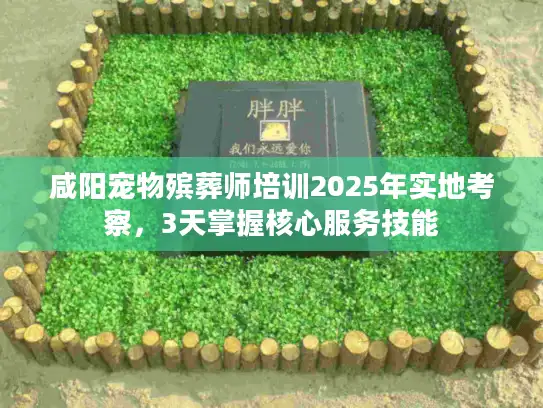 咸阳宠物殡葬师培训2025年实地考察，3天掌握核心服务技能