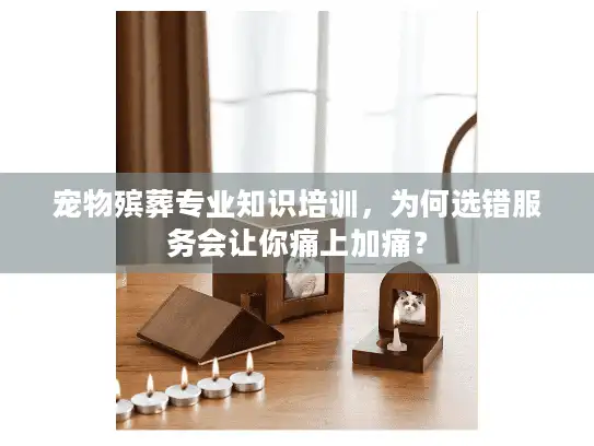 宠物殡葬专业知识培训，为何选错服务会让你痛上加痛？