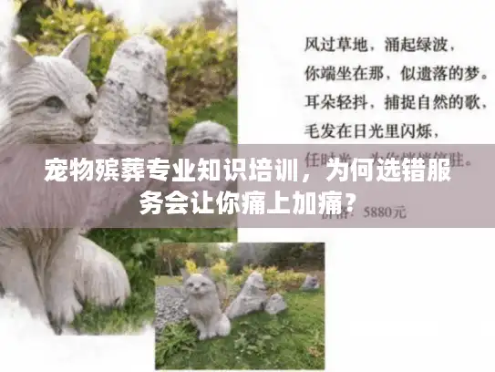 宠物殡葬专业知识培训，为何选错服务会让你痛上加痛？
