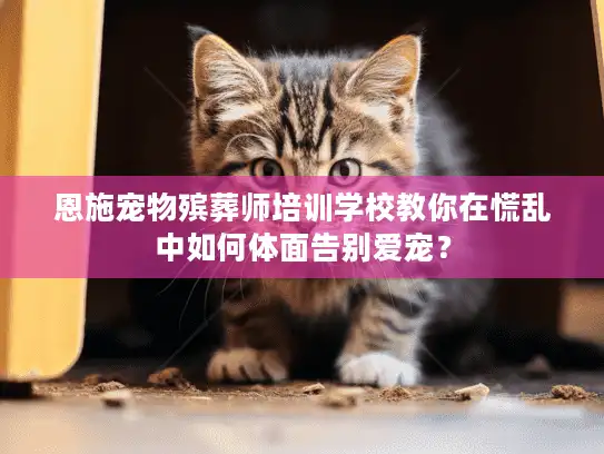 恩施宠物殡葬师培训学校教你在慌乱中如何体面告别爱宠？