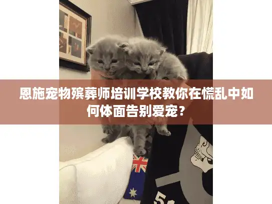 恩施宠物殡葬师培训学校教你在慌乱中如何体面告别爱宠？