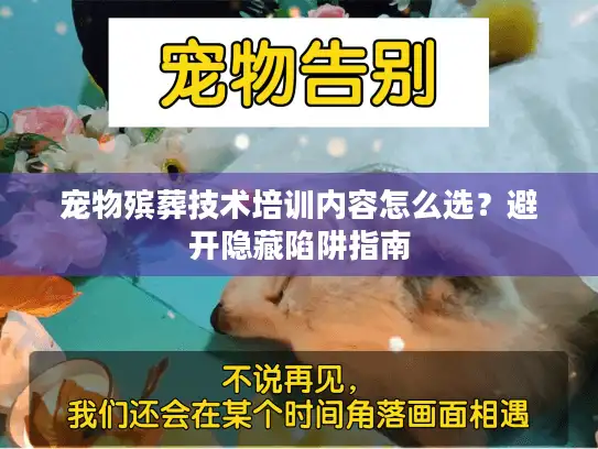 宠物殡葬技术培训内容怎么选？避开隐藏陷阱指南