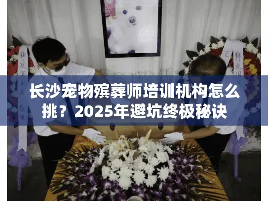 长沙宠物殡葬师培训机构怎么挑？2025年避坑终极秘诀