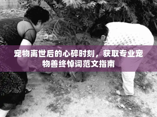 宠物离世后的心碎时刻，获取专业宠物善终悼词范文指南