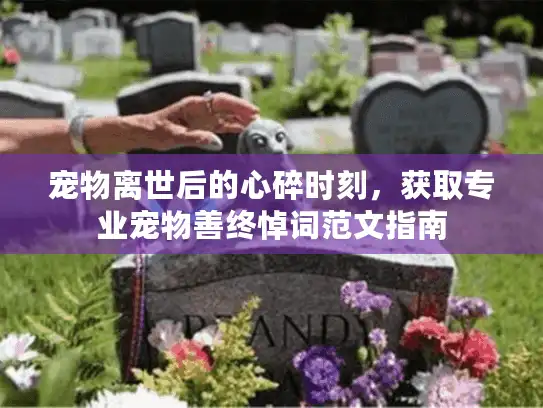 宠物离世后的心碎时刻，获取专业宠物善终悼词范文指南