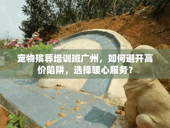 宠物殡葬培训班广州，如何避开高价陷阱，选择暖心服务？