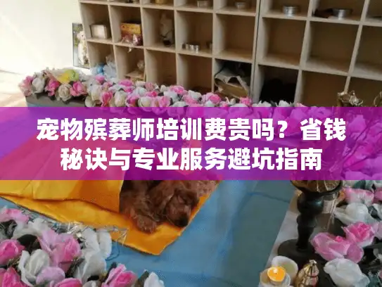 宠物殡葬师培训费贵吗？省钱秘诀与专业服务避坑指南