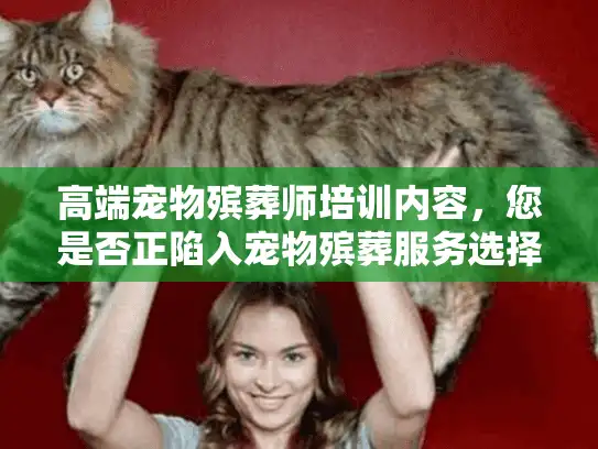 高端宠物殡葬师培训内容，您是否正陷入宠物殡葬服务选择的噩梦？