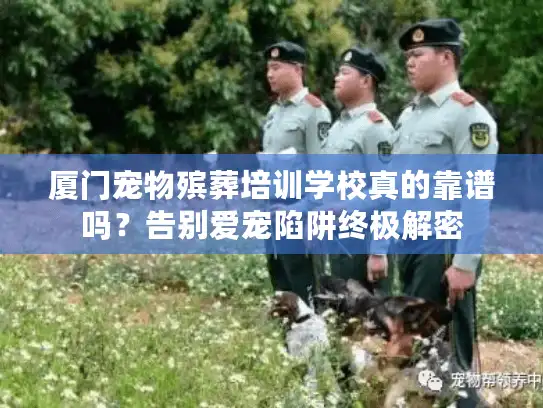厦门宠物殡葬培训学校真的靠谱吗？告别爱宠陷阱终极解密