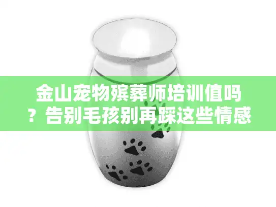 金山宠物殡葬师培训值吗？告别毛孩别再踩这些情感雷区