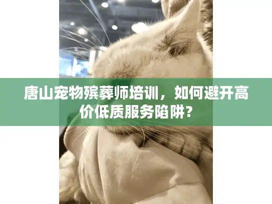 唐山宠物殡葬师培训，如何避开高价低质服务陷阱？