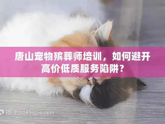 唐山宠物殡葬师培训，如何避开高价低质服务陷阱？