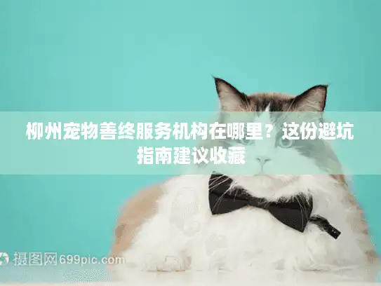 柳州宠物善终服务机构在哪里？这份避坑指南建议收藏