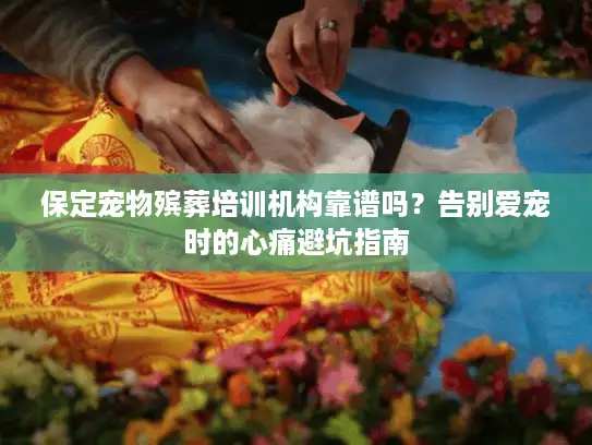 保定宠物殡葬培训机构靠谱吗？告别爱宠时的心痛避坑指南
