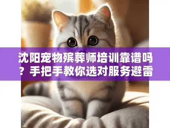 沈阳宠物殡葬师培训靠谱吗？手把手教你选对服务避雷区
