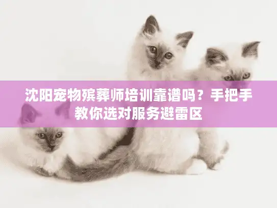 沈阳宠物殡葬师培训靠谱吗？手把手教你选对服务避雷区