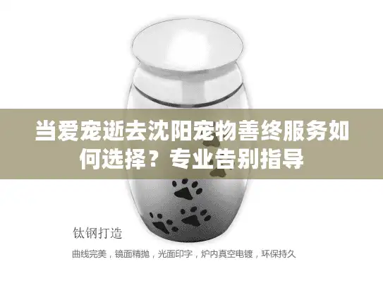 当爱宠逝去沈阳宠物善终服务如何选择？专业告别指导