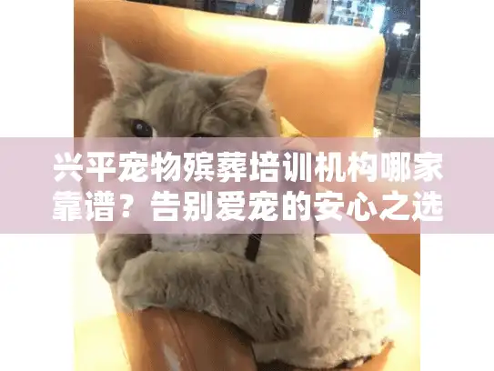 兴平宠物殡葬培训机构哪家靠谱？告别爱宠的安心之选