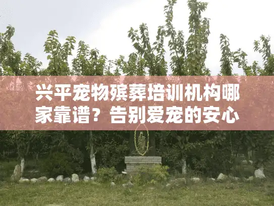 兴平宠物殡葬培训机构哪家靠谱？告别爱宠的安心之选