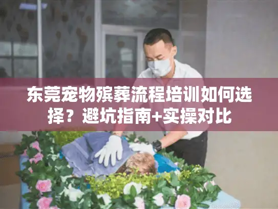 东莞宠物殡葬流程培训如何选择？避坑指南+实操对比