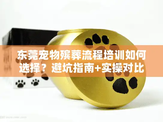 东莞宠物殡葬流程培训如何选择？避坑指南+实操对比