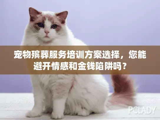 宠物殡葬服务培训方案选择，您能避开情感和金钱陷阱吗？