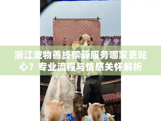 浙江宠物善终殡葬服务哪家更贴心？专业流程与情感关怀解析