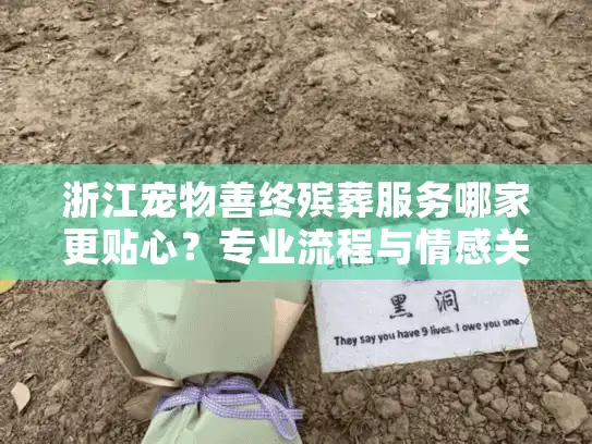 浙江宠物善终殡葬服务哪家更贴心？专业流程与情感关怀解析