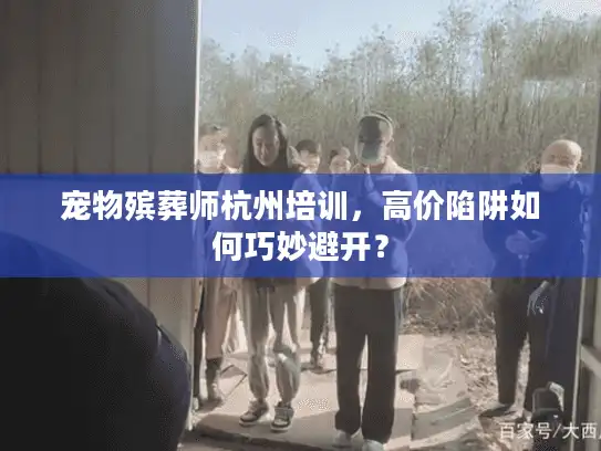 宠物殡葬师杭州培训，高价陷阱如何巧妙避开？