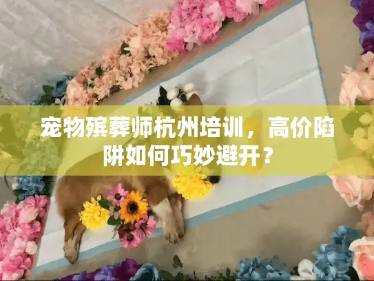 宠物殡葬师杭州培训，高价陷阱如何巧妙避开？