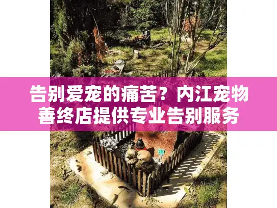 告别爱宠的痛苦？内江宠物善终店提供专业告别服务