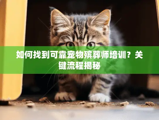 如何找到可靠宠物殡葬师培训？关键流程揭秘