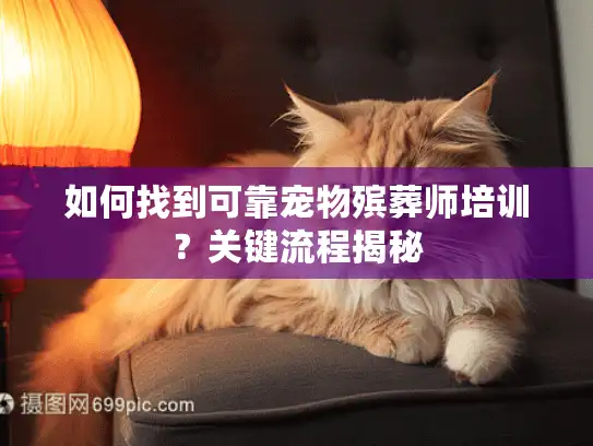 如何找到可靠宠物殡葬师培训？关键流程揭秘