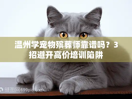 温州学宠物殡葬师靠谱吗？3招避开高价培训陷阱