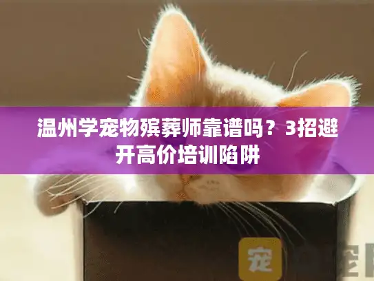 温州学宠物殡葬师靠谱吗？3招避开高价培训陷阱
