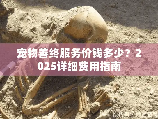 宠物善终服务价钱多少？2025详细费用指南