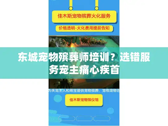 东城宠物殡葬师培训？选错服务宠主痛心疾首