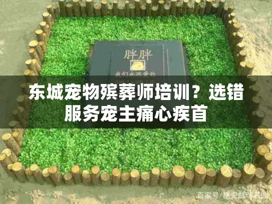 东城宠物殡葬师培训？选错服务宠主痛心疾首