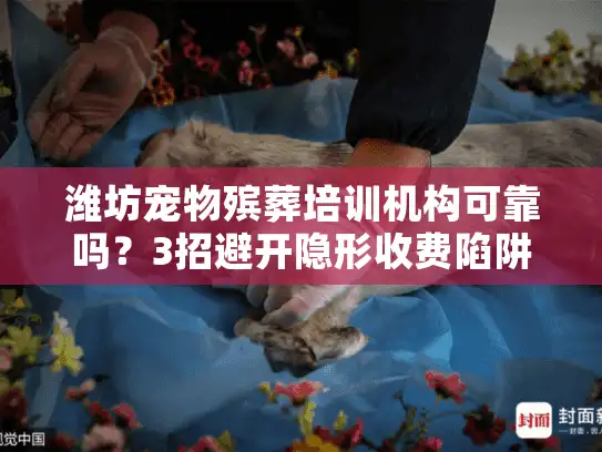 潍坊宠物殡葬培训机构可靠吗？3招避开隐形收费陷阱