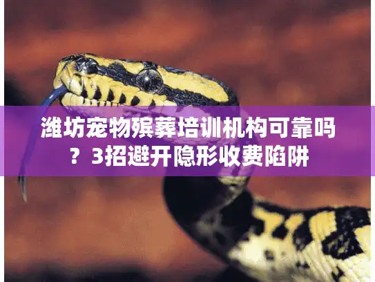 潍坊宠物殡葬培训机构可靠吗？3招避开隐形收费陷阱