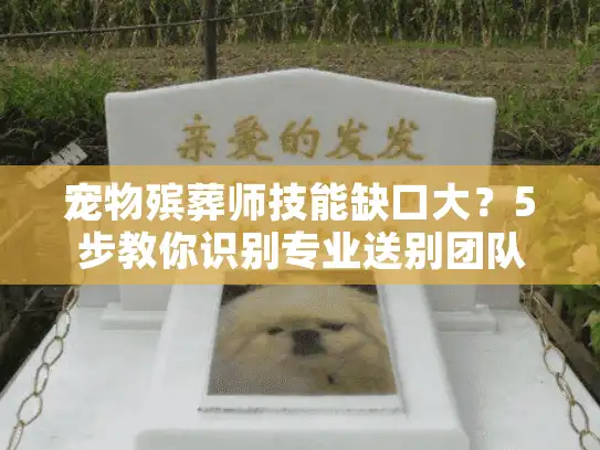 宠物殡葬师技能缺口大？5步教你识别专业送别团队