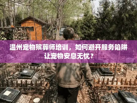 温州宠物殡葬师培训，如何避开服务陷阱让宠物安息无忧？