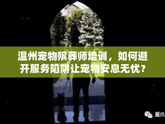 温州宠物殡葬师培训，如何避开服务陷阱让宠物安息无忧？